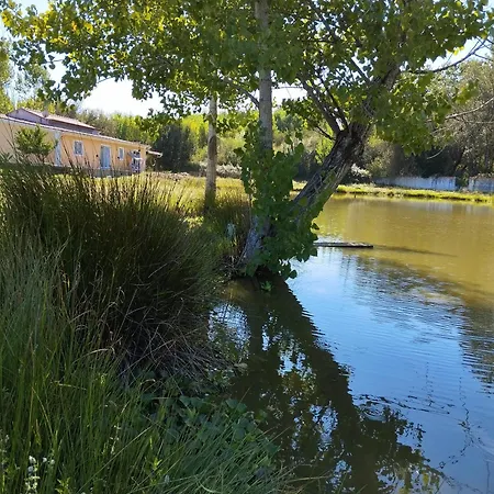 Casa Da Aldeia 民宿 Amor