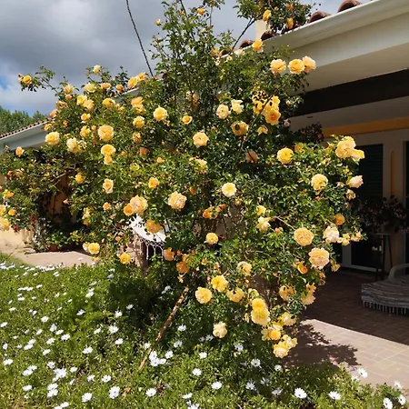 民宿 Casa Da Aldeia