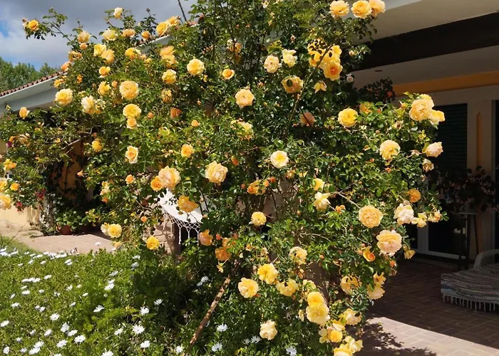 民宿 Casa Da Aldeia